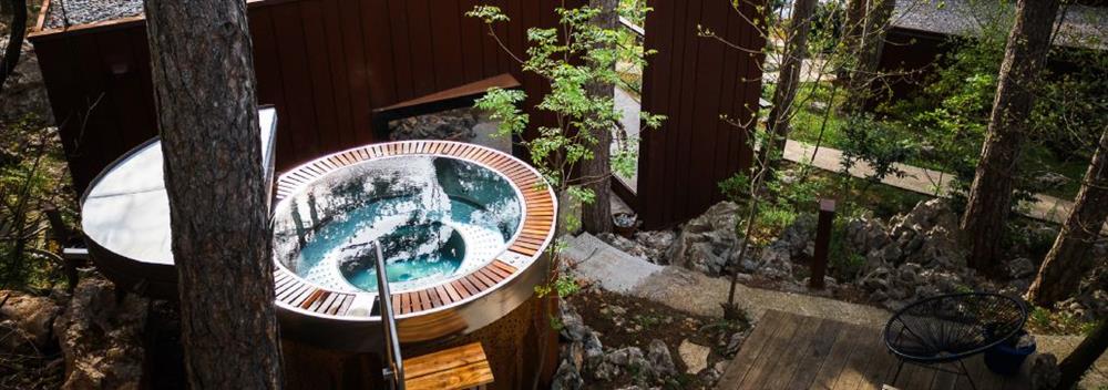 Gozdna vasica Theodosius // Slovenija