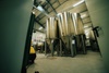 Picture of Green Gold Brewing, Slowenien