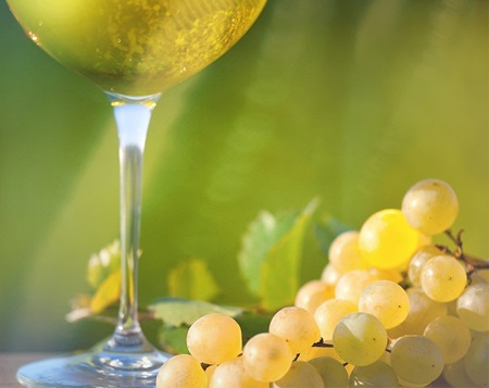 Picture for category Predelava grozdja in skladiščenje vina