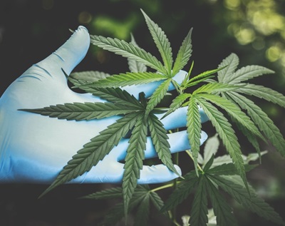 From Field To Bottle: Why It Matters What Happens In Between