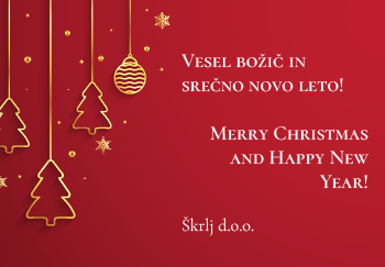 Picture of Božično-novoletni prazniki